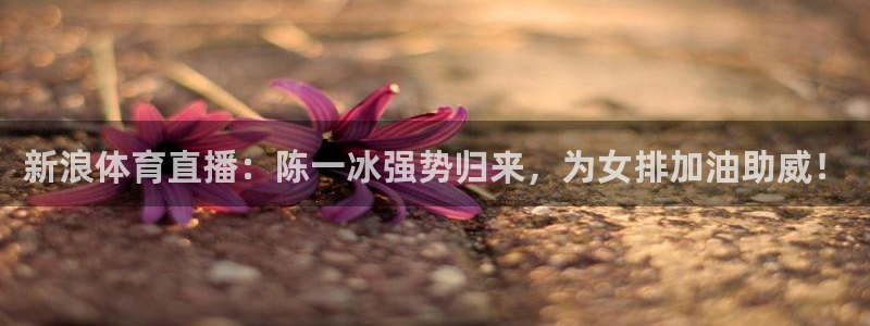 88看球吧直播：新浪体育直播：陈一冰强势归来，为女排加油助威！