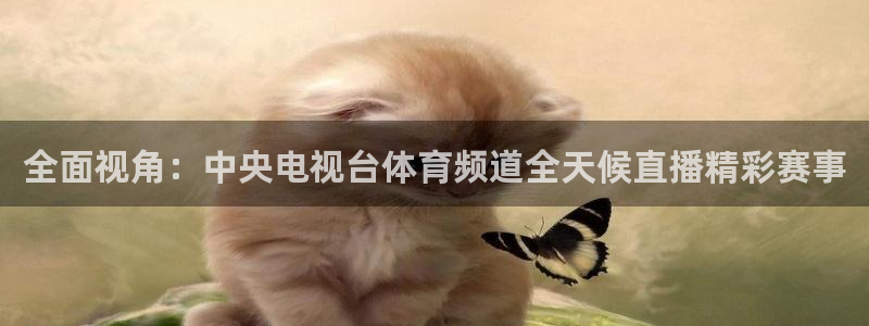 cba直播看球吧：全面视角：中央电视台体育频道全天候直播精彩赛事