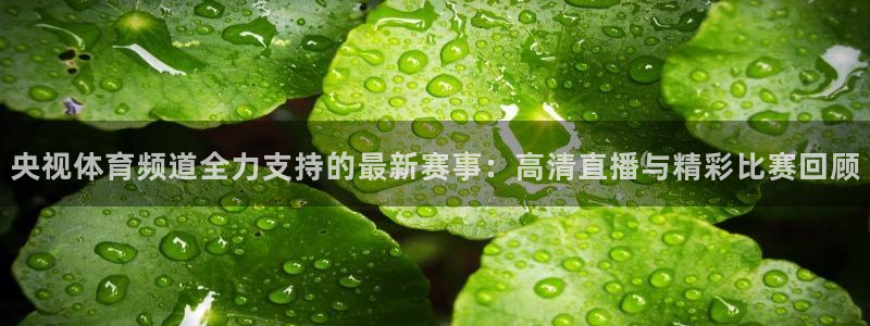 看球吧体育直播平台：央视体育频道全力支持的最新赛事：高清直播与精彩比赛回顾