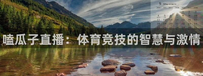 看球吧nba直播吧在线直播：嗑瓜子直播：体育竞技的智慧与激情
