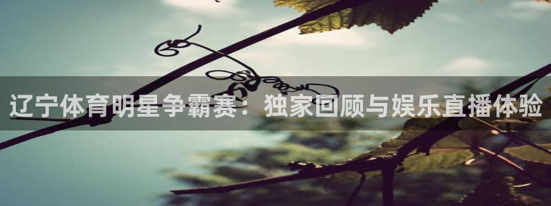 看球吧直播入口：辽宁体育明星争霸赛：独家回顾与娱乐直播体验