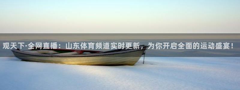 nba看球吧免费直播：观天下·全网直播：山东体育频道实时更新，为你开启全面的运动盛宴！