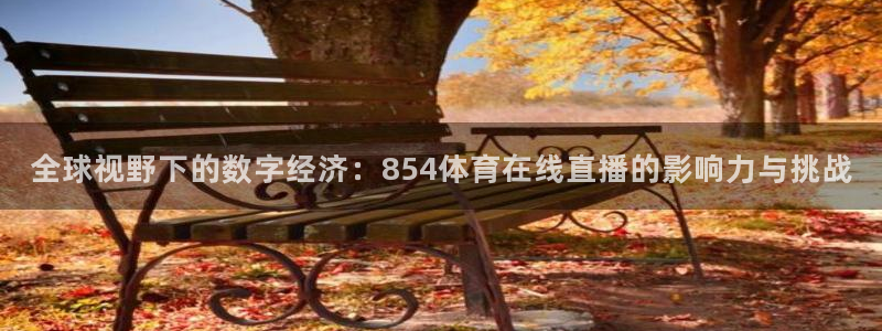 看球吧nba免费直播：全球视野下的数字经济：854体育在线直播的影响力与挑战