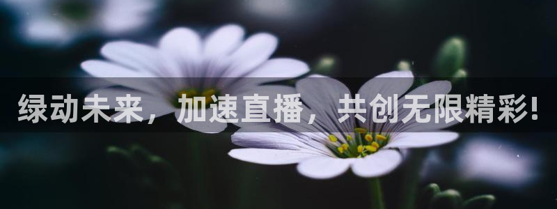 88看球吧直播nba：绿动未来，加速直播，共创无限精彩!