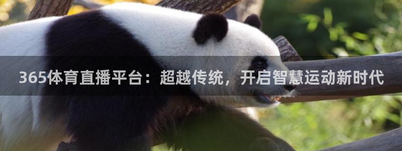 886直播看球吧：365体育直播平台：超越传统，开启智慧运动新时代