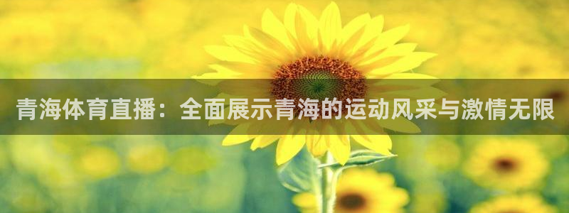 体育直播看球吧：青海体育直播：全面展示青海的运动风采与激情无限