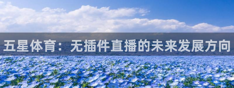 体育赛事视频直播看球吧：五星体育：无插件直播的未来发展方向