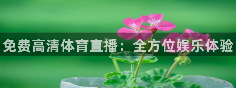 看球吧直播网：免费高清体育直播：全方位娱乐体验
