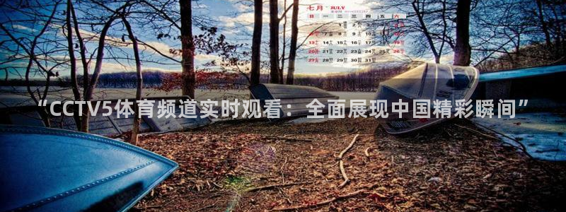 看球吧直播 在线观看nba：“CCTV5体育频道实时观看：全面展现中国精彩瞬间”